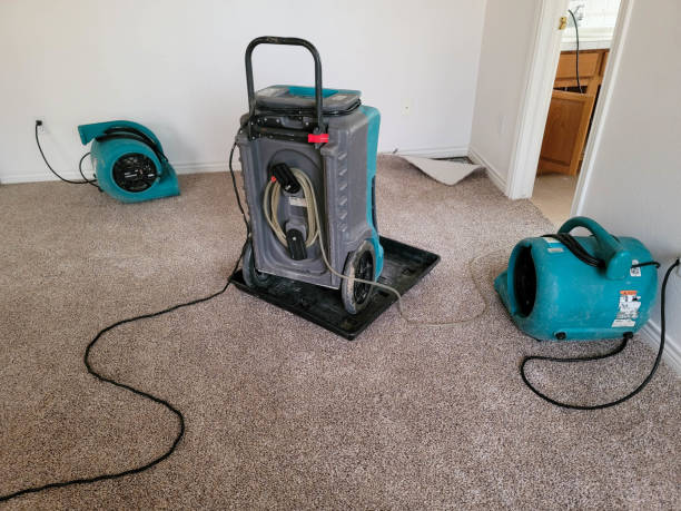 Best 24/7 water damage repair  in Gateway, AK