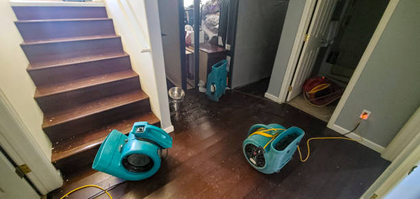 Best Professional water damage repair  in Gateway, AK