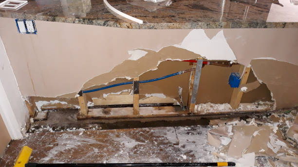 Best Mold removal after water damage  in Gateway, AK
