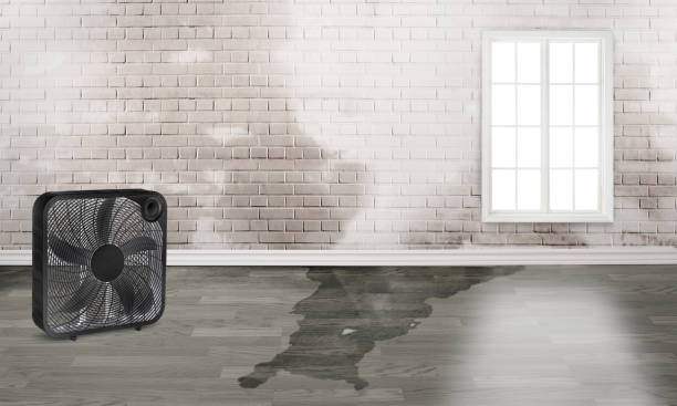 Best 24/7 water damage repair  in Gateway, AK