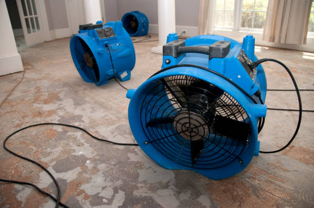 Best Basement water damage restoration  in Gateway, AK