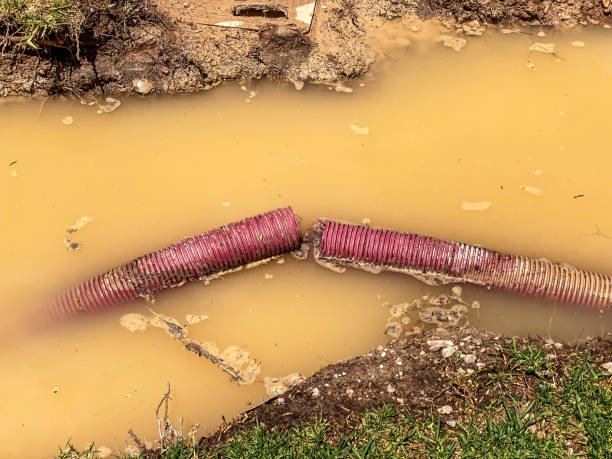 Best Emergency water damage restoration  in Gateway, AK